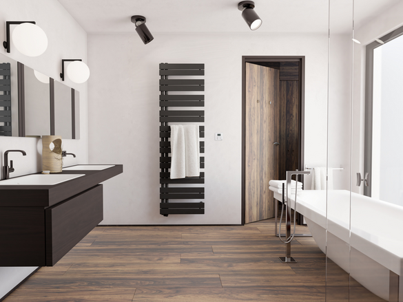 Rendering Zehnder Roda Duo Decorative radiator Front view