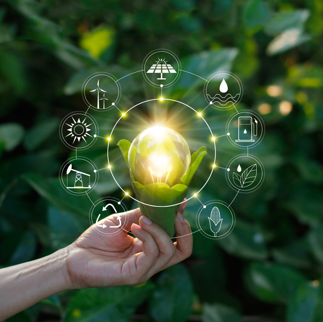 Hand holding light bulb against nature on green leaf with icons energy sources for renewable, sustainable development. Ecology concept. Elements of this image furnished by NASA.