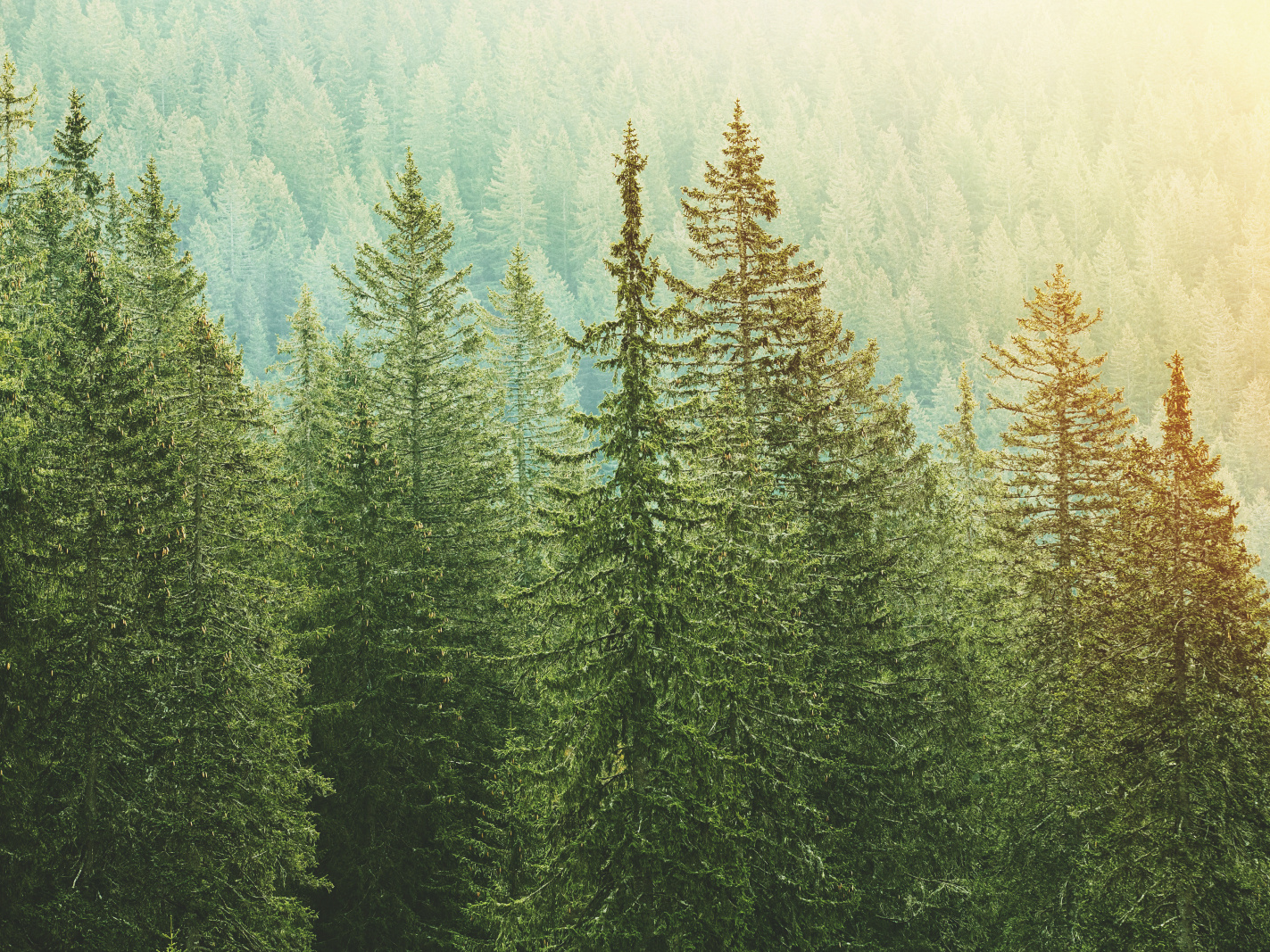 Sehr leiser Betrieb des Zehnder ComfoAir Fit 100